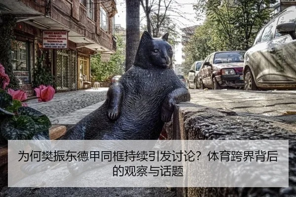 为何樊振东德甲同框持续引发讨论？体育跨界背后的观察与话题